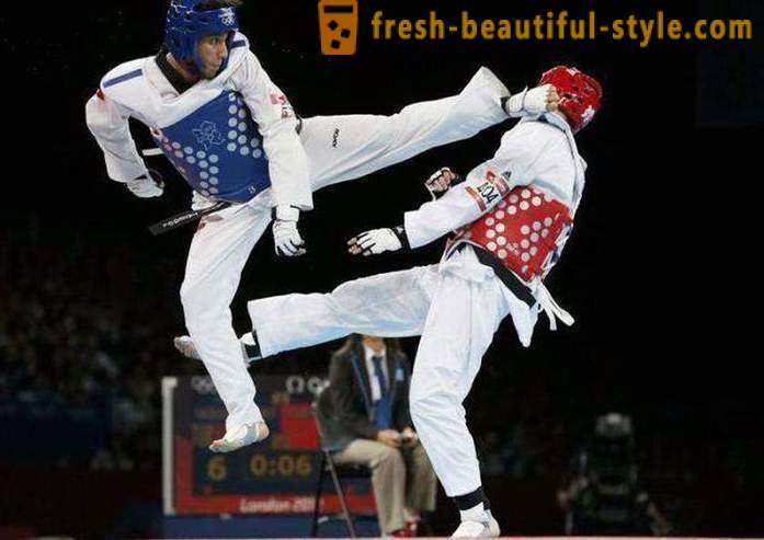 Che cosa è Taekwondo? Descrizione e le regole dell'arte marziale