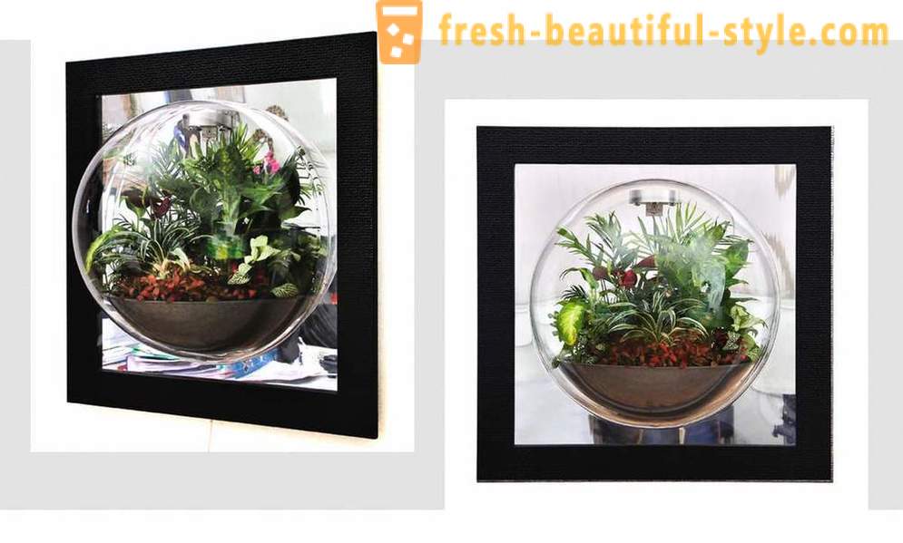 7 florariumov elegante per il vostro soggiorno