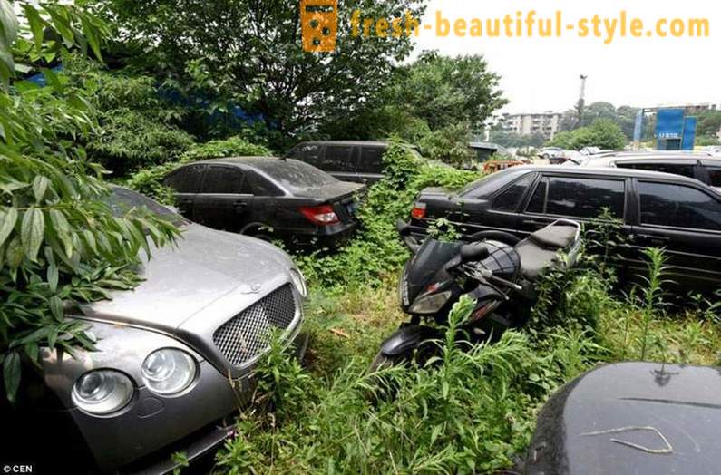 Automobili cimitero di lusso cinese