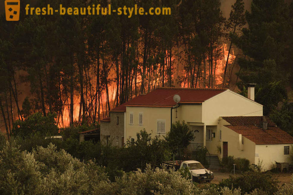 Come spegnere gli incendi in Portogallo