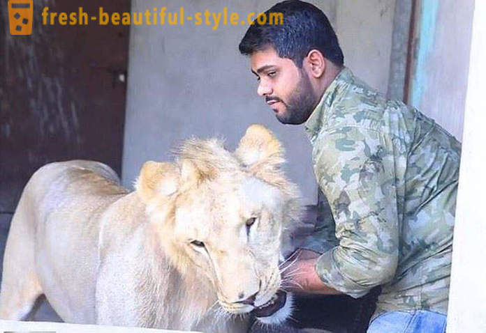 Due fratelli dal Pakistan hanno portato un leone di nome Simba
