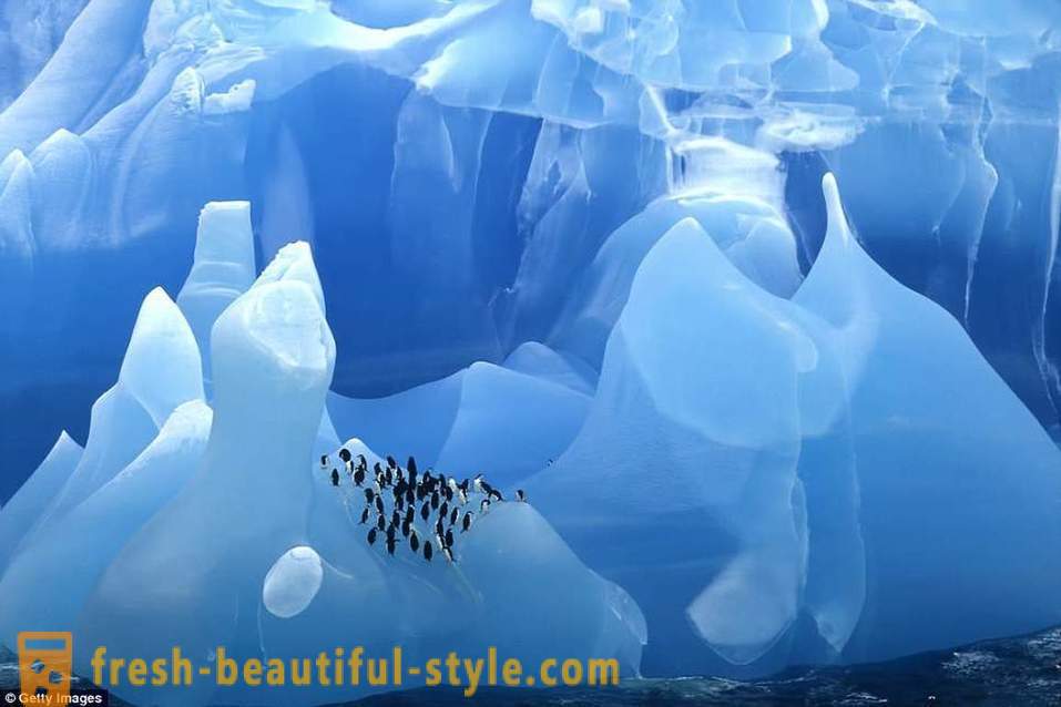 Camye antichi iceberg del mondo