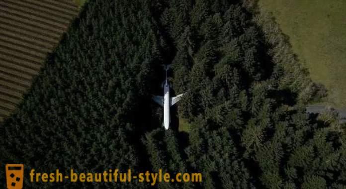 Americani, 15 anni di vivere in un aereo nel mezzo della foresta
