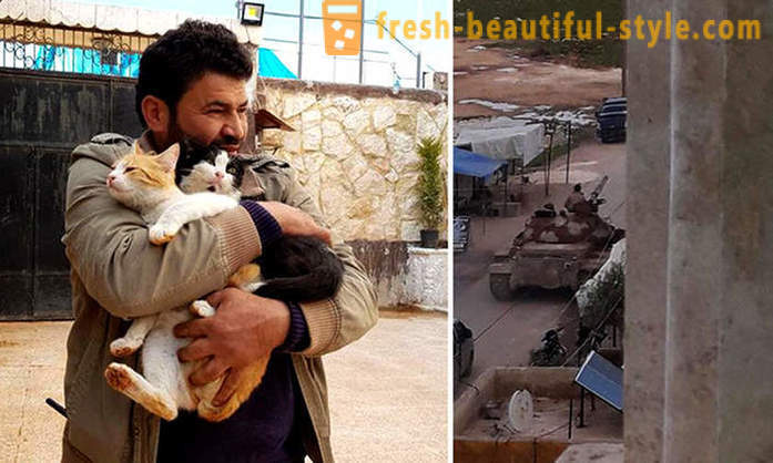 L'uomo rimasto in Aleppo devastato dalla guerra per prendersi cura di animali abbandonati