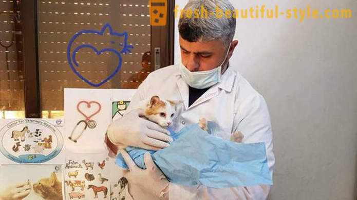 L'uomo rimasto in Aleppo devastato dalla guerra per prendersi cura di animali abbandonati