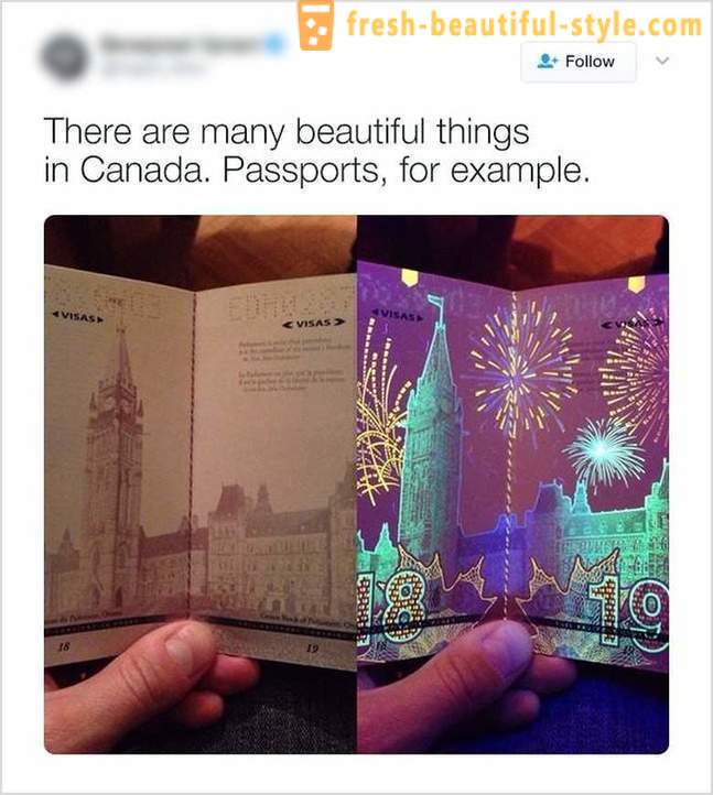 Le cose che si possono trovare solo in Canada
