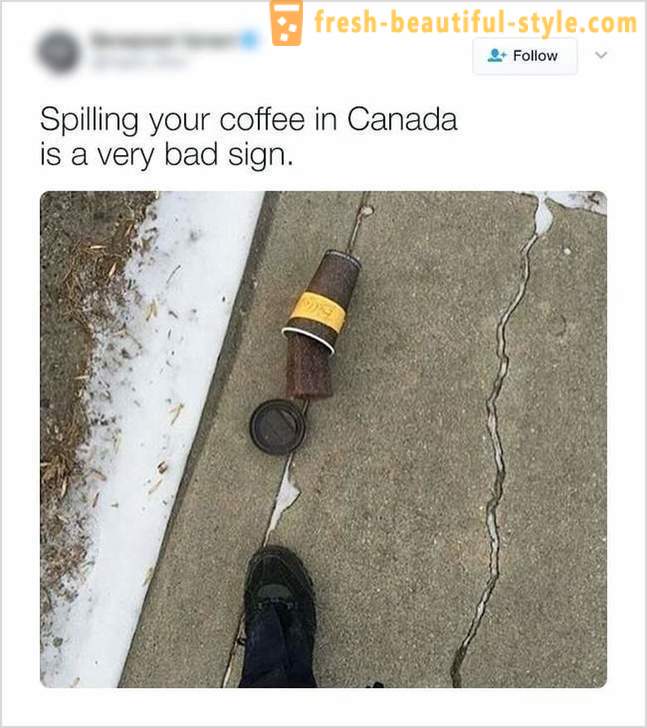 Le cose che si possono trovare solo in Canada