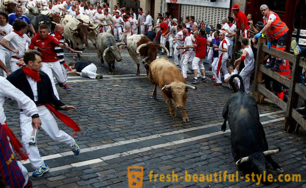 Come è stata la gestione annuale dei tori a Pamplona, ​​Spagna