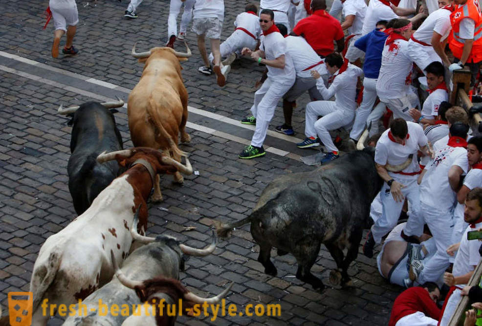 Come è stata la gestione annuale dei tori a Pamplona, ​​Spagna