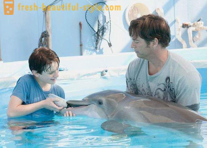 Una selezione di film sui delfini