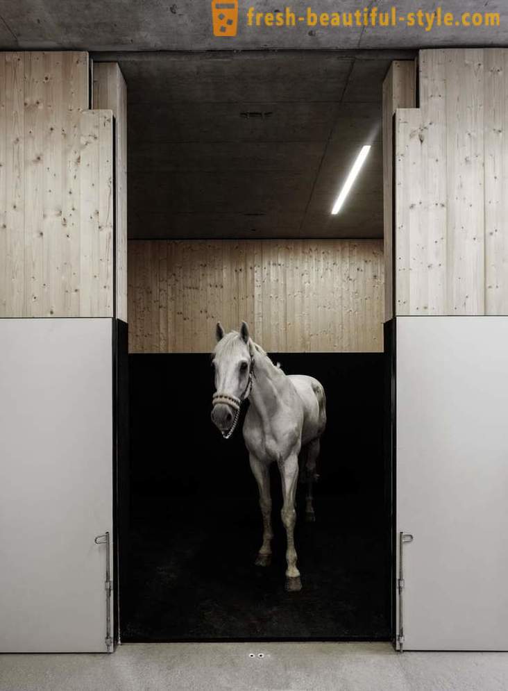 Progettazione della clinica veterinaria per i cavalli in Austria