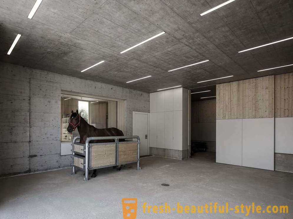 Progettazione della clinica veterinaria per i cavalli in Austria
