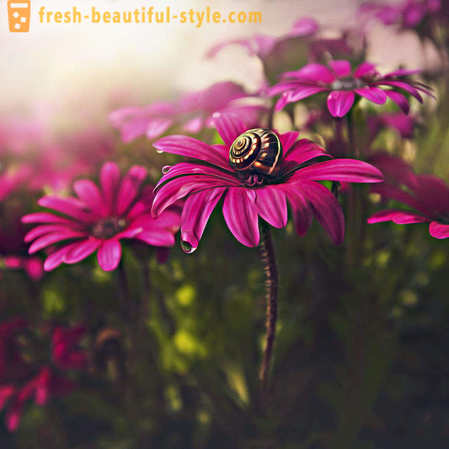 La bellezza dei fiori in fotografia macro. Belle immagini di fiori.