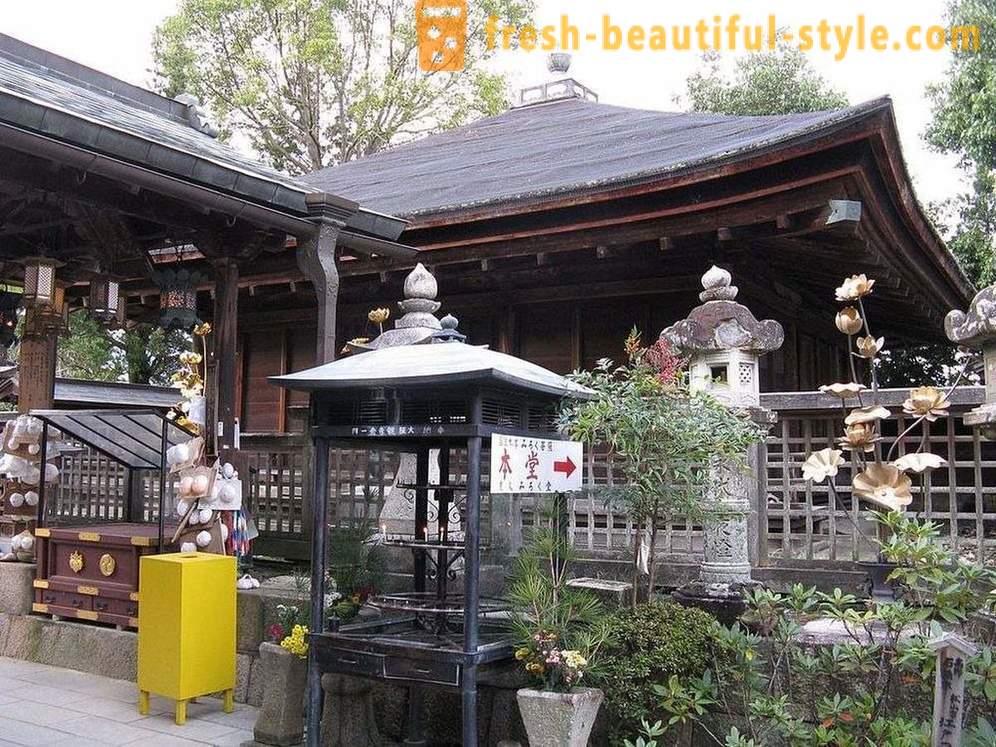 In Giappone, c'è un tempio dedicato al seno femminile, e va bene