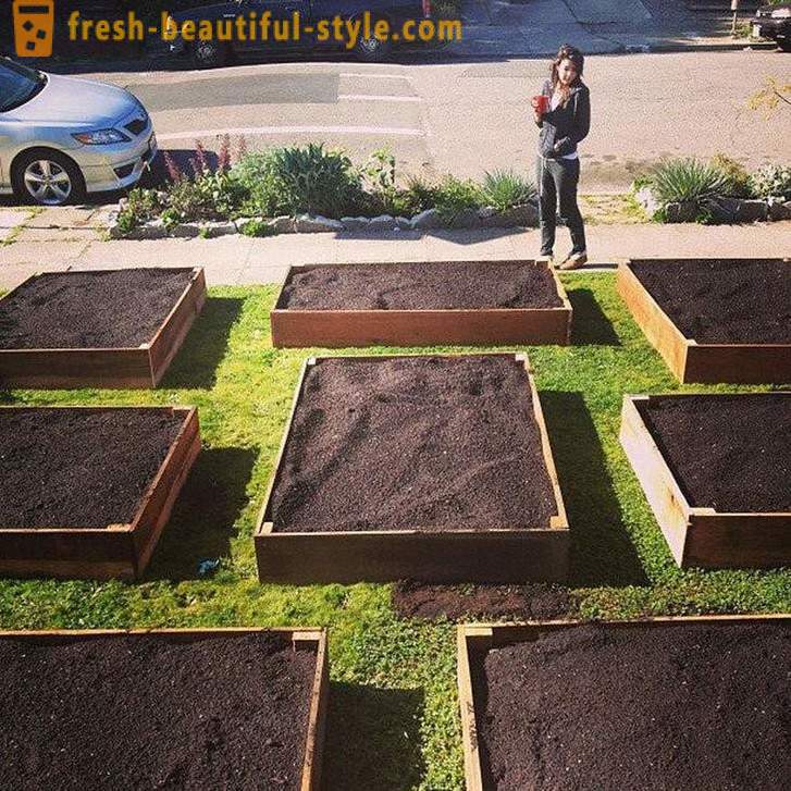In soli 60 giorni questo ragazzo ha sollevato un fresco giardino di fronte a casa