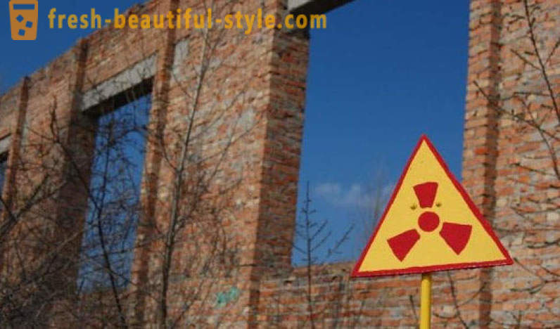 Cestino nucleare: cosa cresce a Chernobyl