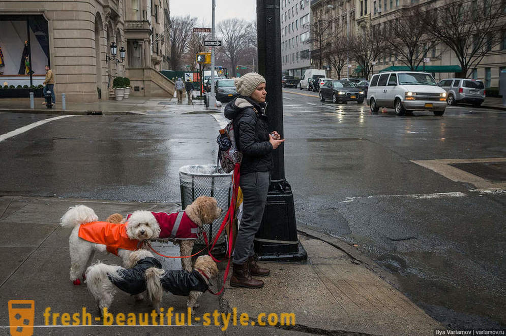New York: La strana moda, strade dissestate e l'hotel del futuro