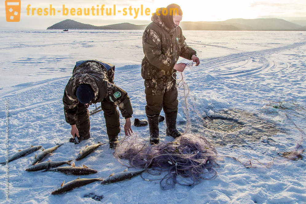 Come fare rybinspektory su Baikal