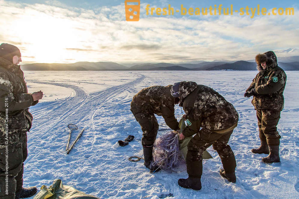 Come fare rybinspektory su Baikal