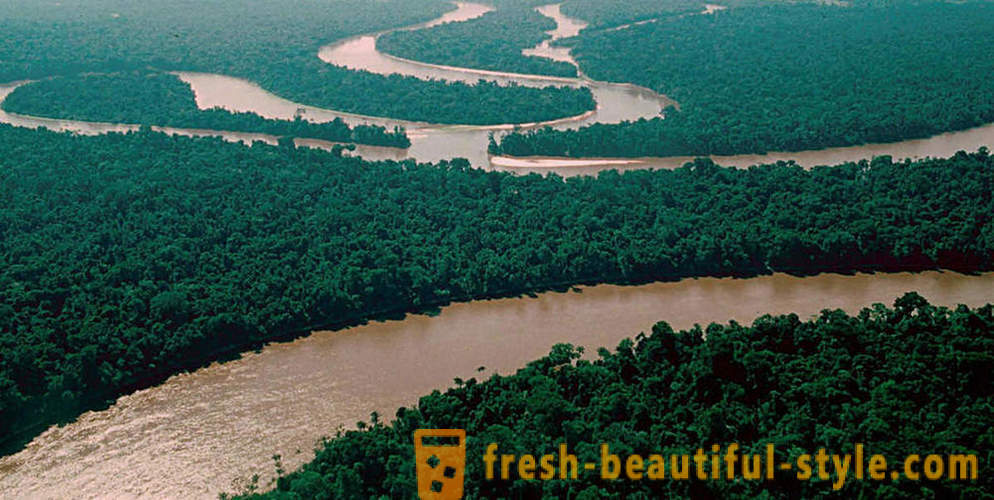 Amazon - meraviglia naturale del mondo