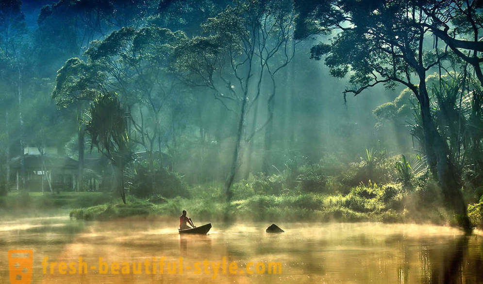 Amazon - meraviglia naturale del mondo