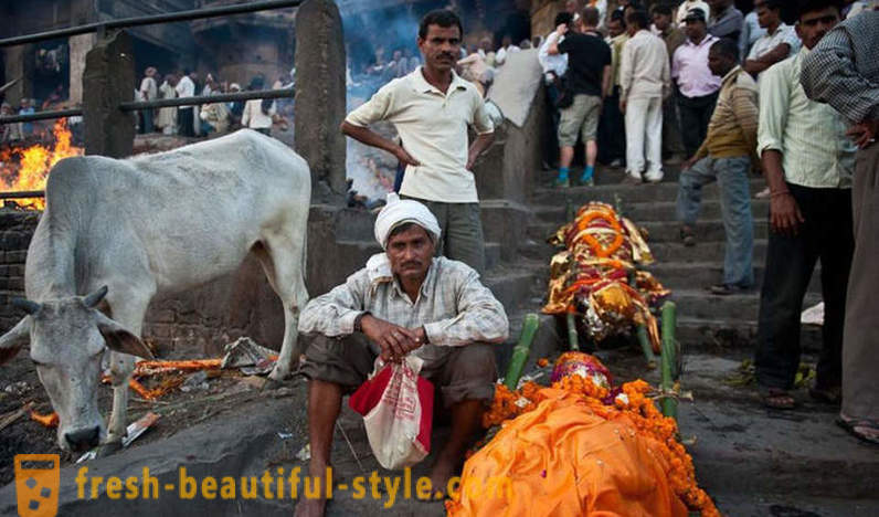 Gli intoccabili: La storia della casta più bassa in India