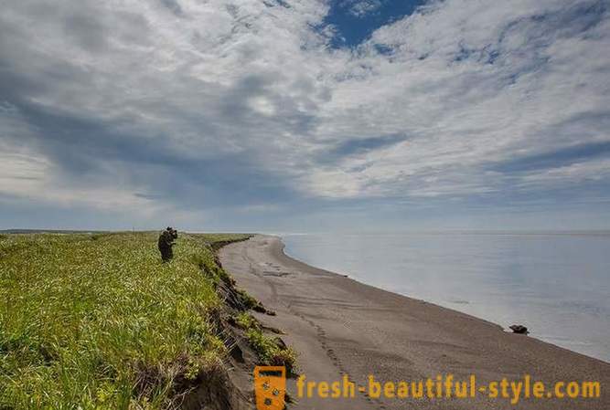 Primordiale Kamchatka: Orsi Terra
