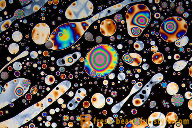 Microscopio nelle mani del fotografo