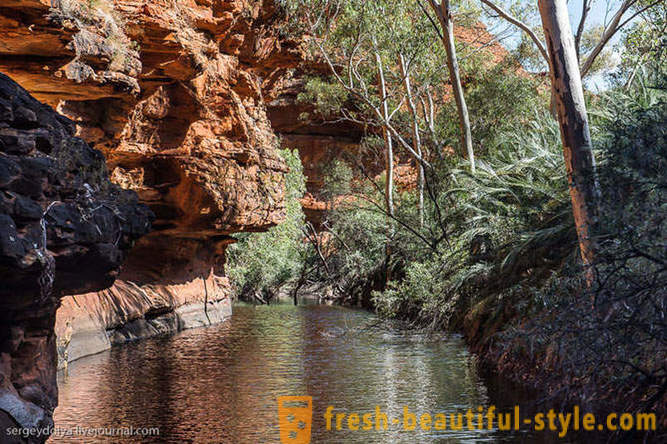 Passeggiata attraverso il Kings Canyon in Australia