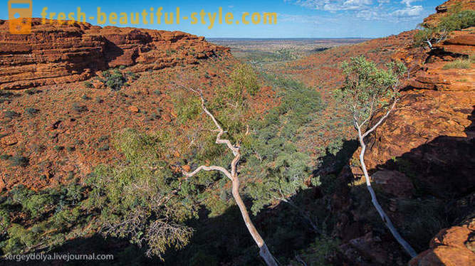 Passeggiata attraverso il Kings Canyon in Australia
