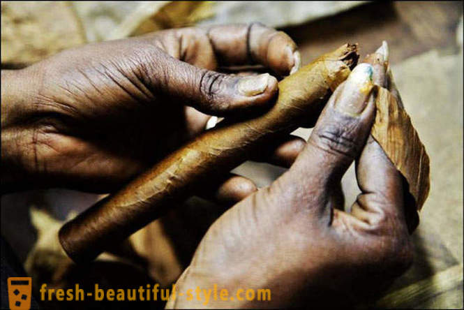Il processo di creazione il meglio di sigari cubani