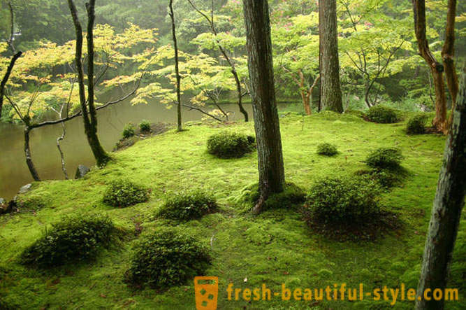 Giardino Moss in Giappone