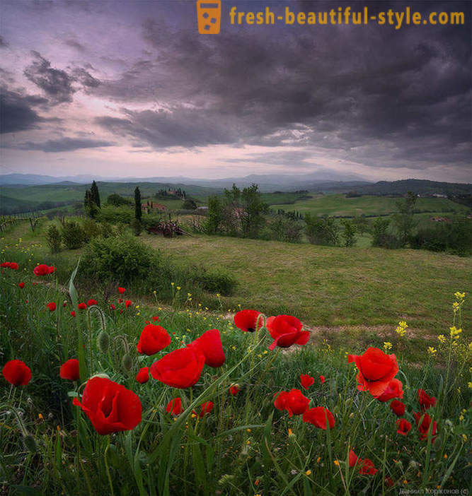 Sotto il cielo della Toscana primavera