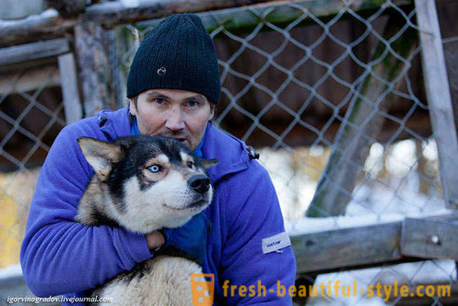 Alla ricerca di Babbo Natale in renna Siberian husky