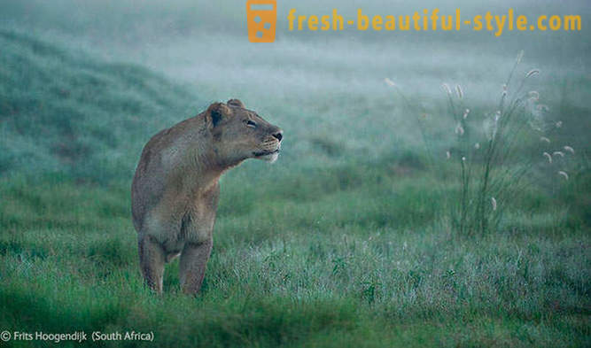 I vincitori del concorso foto della fauna selvatica 2012