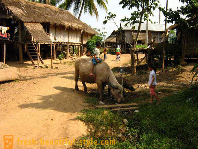 GeoFresher - Come vivere nel Laos