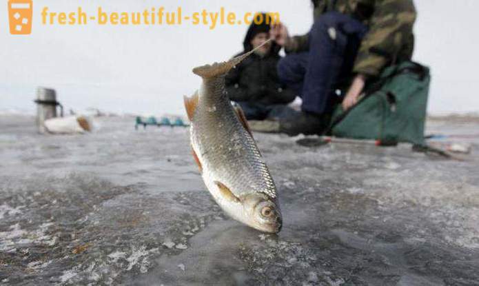 Pesca a Khanty-Mansiysk. Fiume Khanty-Mansiysk