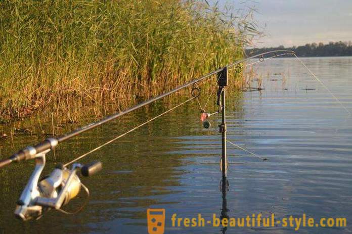 La pesca nella regione di Ryazan sul fiume Oka e altri corpi idrici