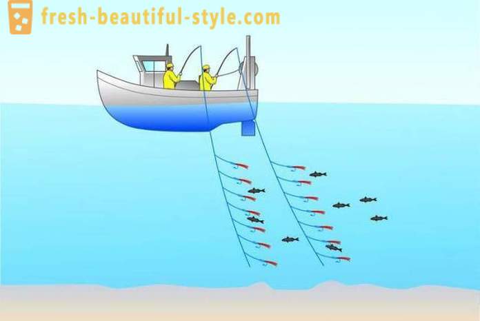 Traina: la pesca per i principianti. Barca da pesca a traina