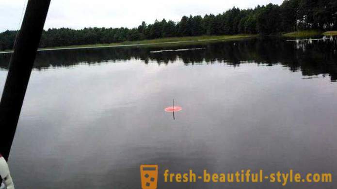 Facendo cerchio luccio: Le caratteristiche del metodo. pesca del luccio sui cerchi sul fiume, sul lago