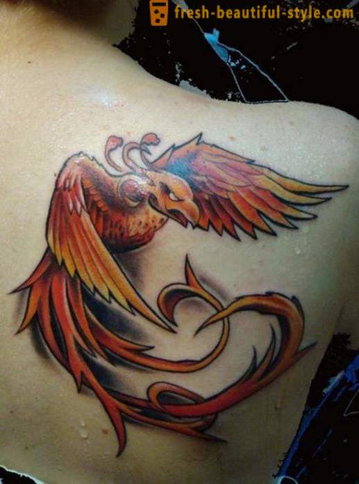 Phoenix - un tatuaggio, il cui significato non può essere compreso pienamente