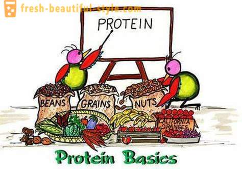 Quali sono le proteine? Chi e come prendere proteine
