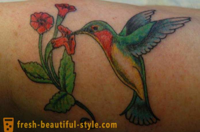 Hummingbird tatuaggio - un simbolo di vitalità e di energia