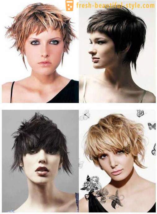 Taglio di capelli normalizzati diversa lunghezza dei capelli. Chi sarà questo taglio di capelli