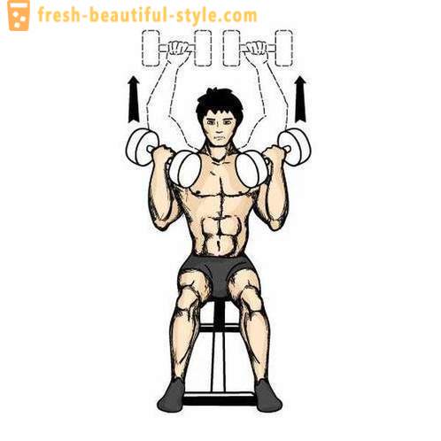 Metodi di massa muscolare: stampa Arnold