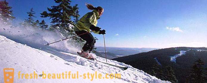 Sci. Attrezzature e regole sci alpino