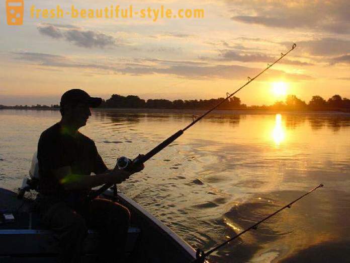 Mi piace pescare? Pesca sul lago, il fiume e il mare. Come pescare con la filatura?