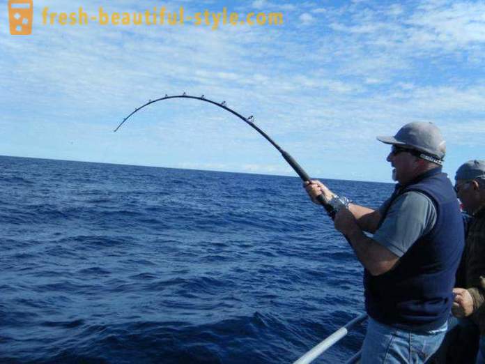 Mi piace pescare? Pesca sul lago, il fiume e il mare. Come pescare con la filatura?
